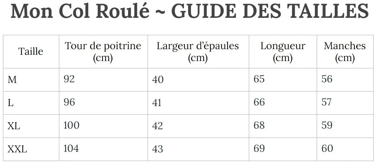Col Roulé Blanc Homme