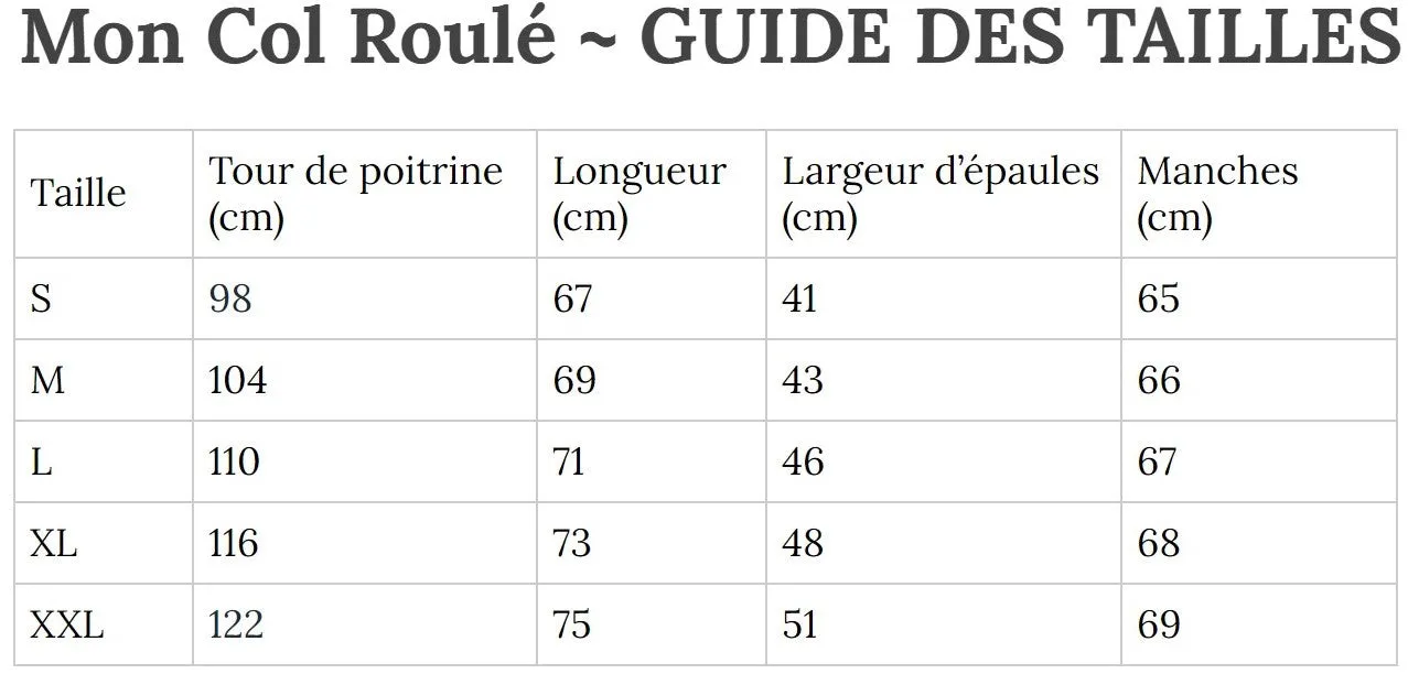 Col Roulé Rayé Homme Bleu/Blanc